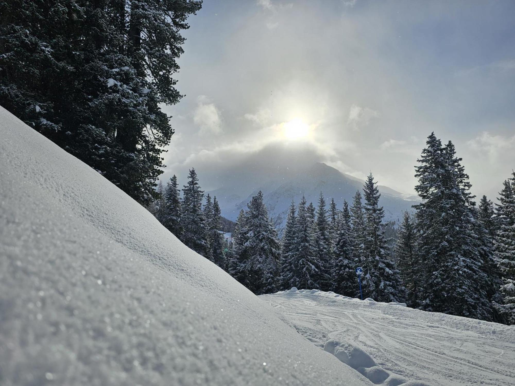 Appartamento Haus Alpenblick See Esterno foto