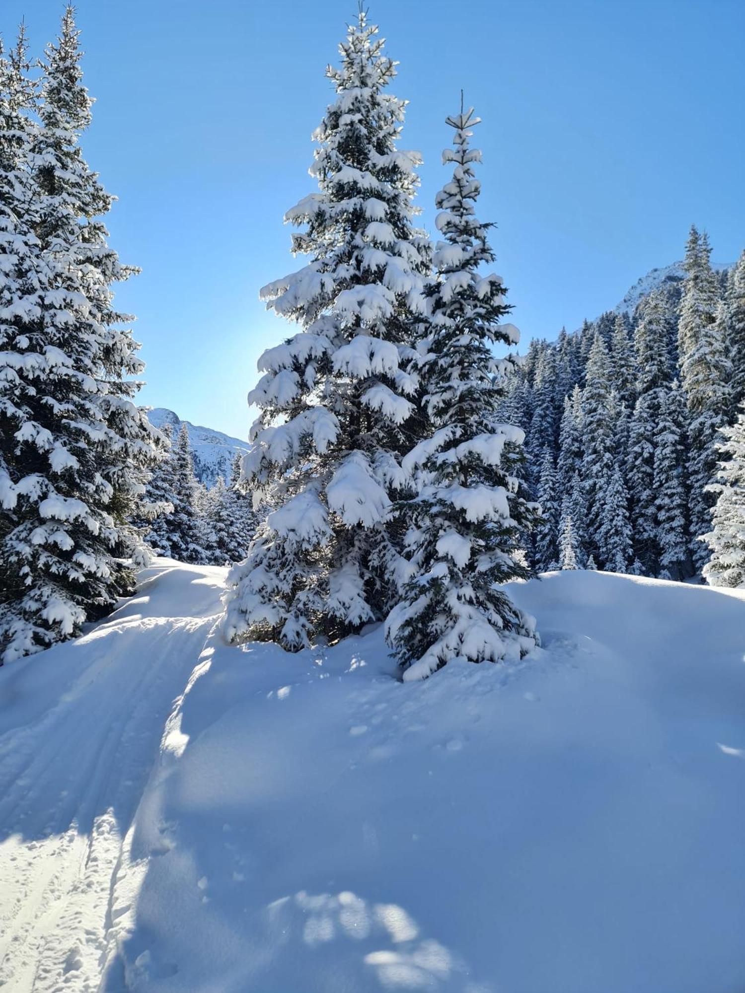 Appartamento Haus Alpenblick See Esterno foto